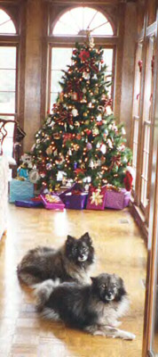 Picture of Princess & Lady at Christmas