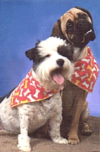 Picture of Mugsy and Dexter