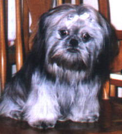 Picture of Wicket from Tuscumbia, Al